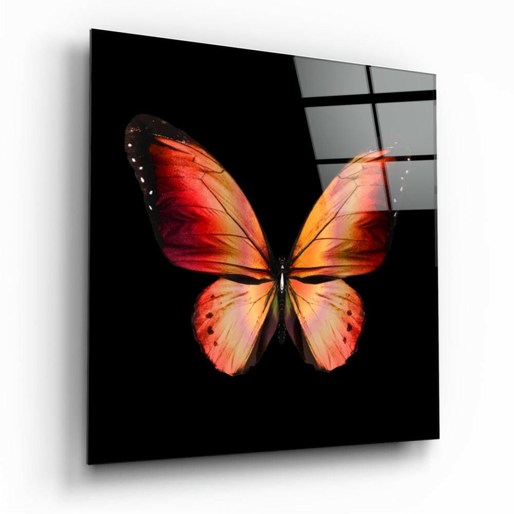 Fiery Red And Orange Wings Butterfly Glass Wall Art