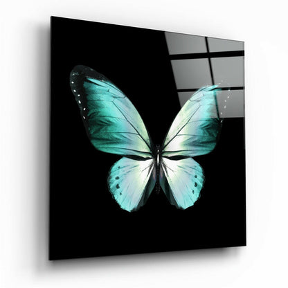 Turquoise Wings On Black Butterfly Glass Wall Art