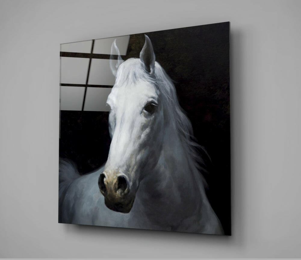 White Stallion Head Portrait Glass Wall Art