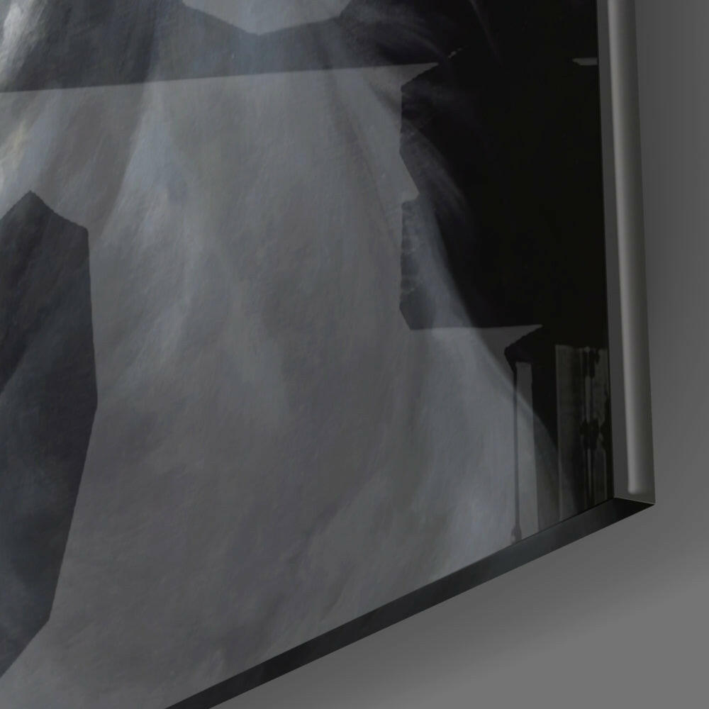 White Stallion Head Portrait Glass Wall Art