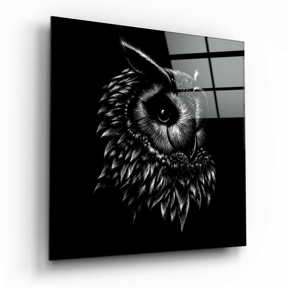 Sketched Owl Portrait Black Glass Wall Art