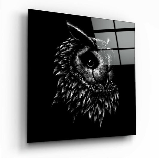 Black glass wall panel displaying a detailed sketch-style owl portrait in white, angled perspective view showing depth and shadow.
