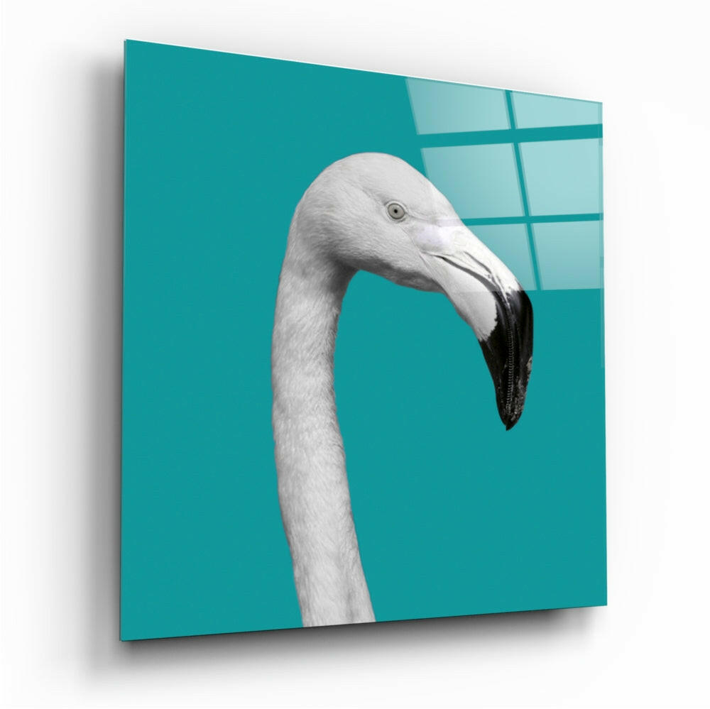 White Flamingo Head Teal Square Glass Wall Art