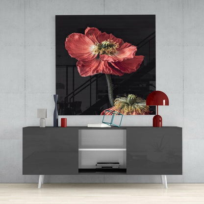 Red Poppy Duo Glass Wall Art