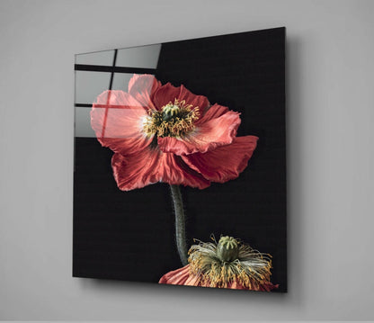 Red Poppy Duo Glass Wall Art