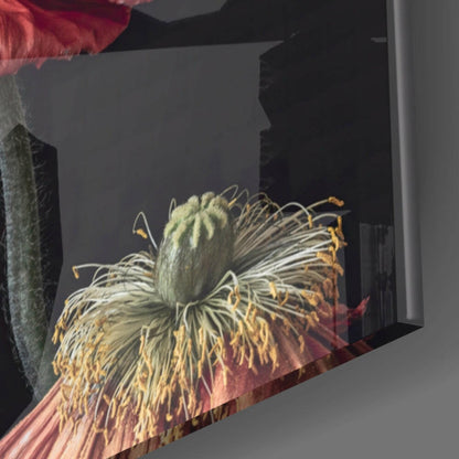 Red Poppy Duo Glass Wall Art