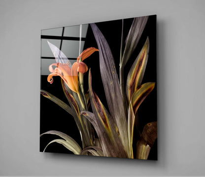 Orange Daylily Bloom Glass Wall Art