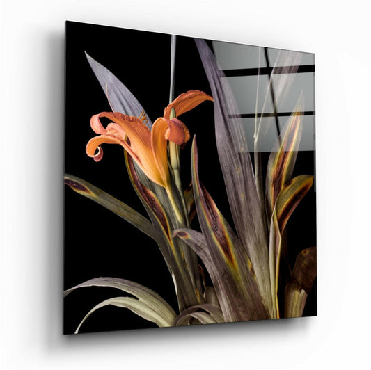 Orange daylily with curled petals against black background on glass panel with grid pattern overlay.