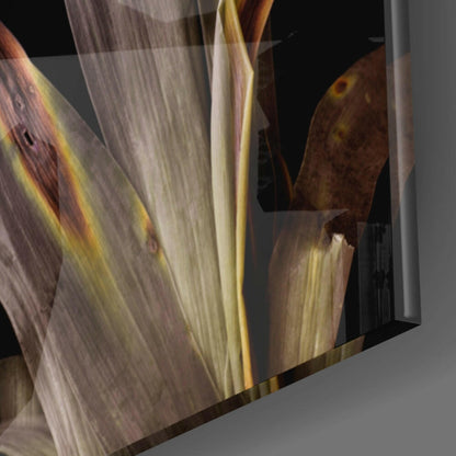 Orange Daylily Bloom Glass Wall Art