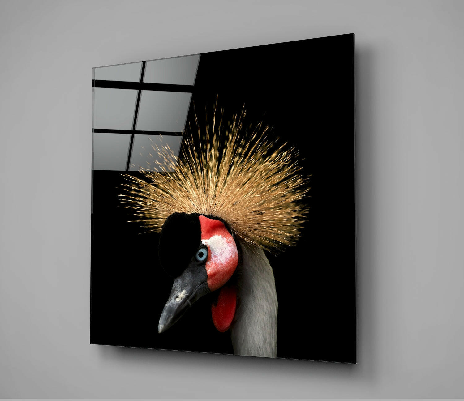 Black Crowned Crane with distinctive golden crest and red face patch on black background, displayed as framed wall art.