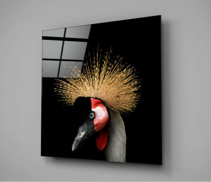 Black Crowned Crane with distinctive golden crest and red face patch on black background, displayed as framed wall art.