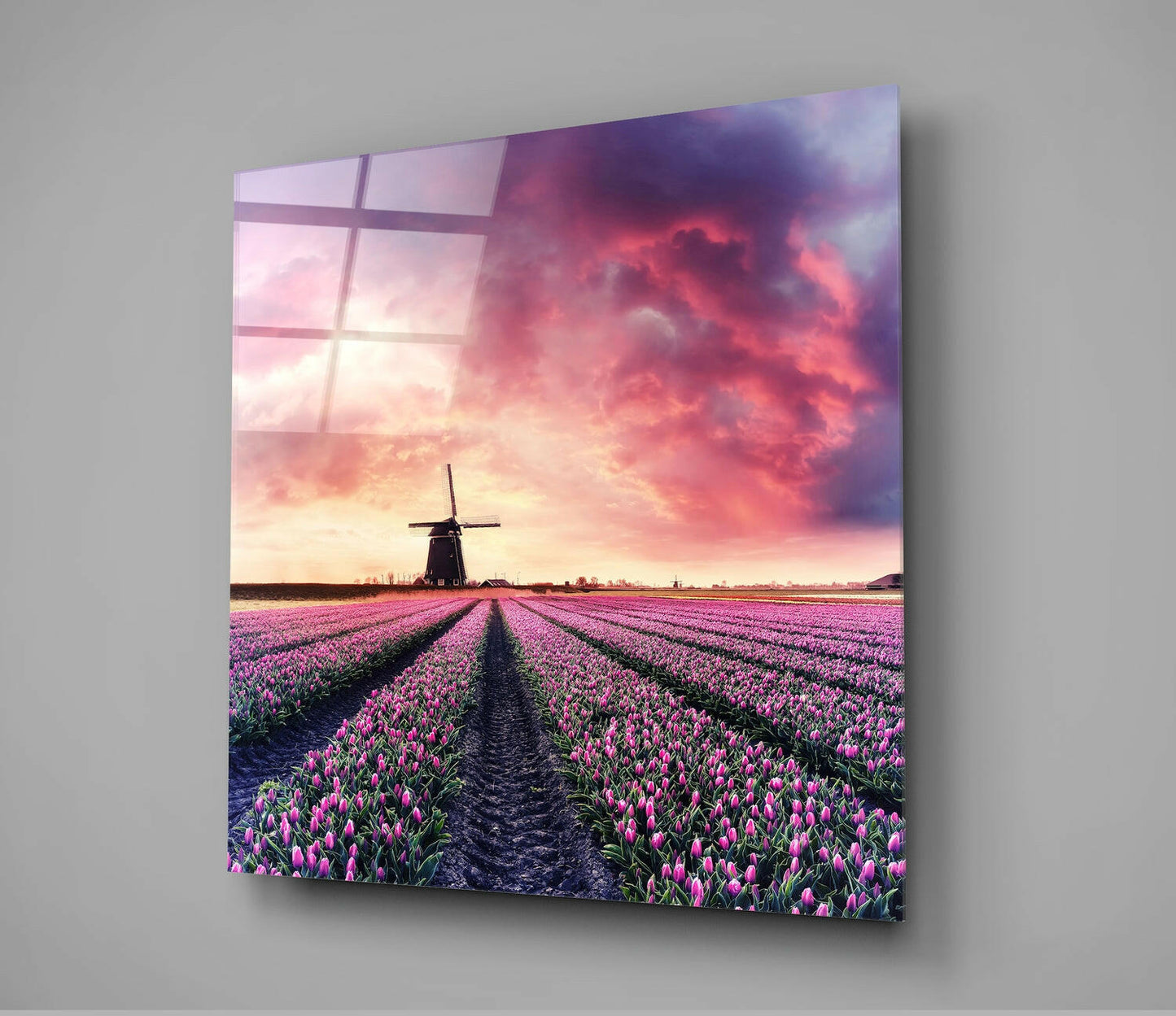 Glass wall art panel displaying a Dutch tulip field with a windmill under a pink sunset sky, shown at an angle against a gray wall.