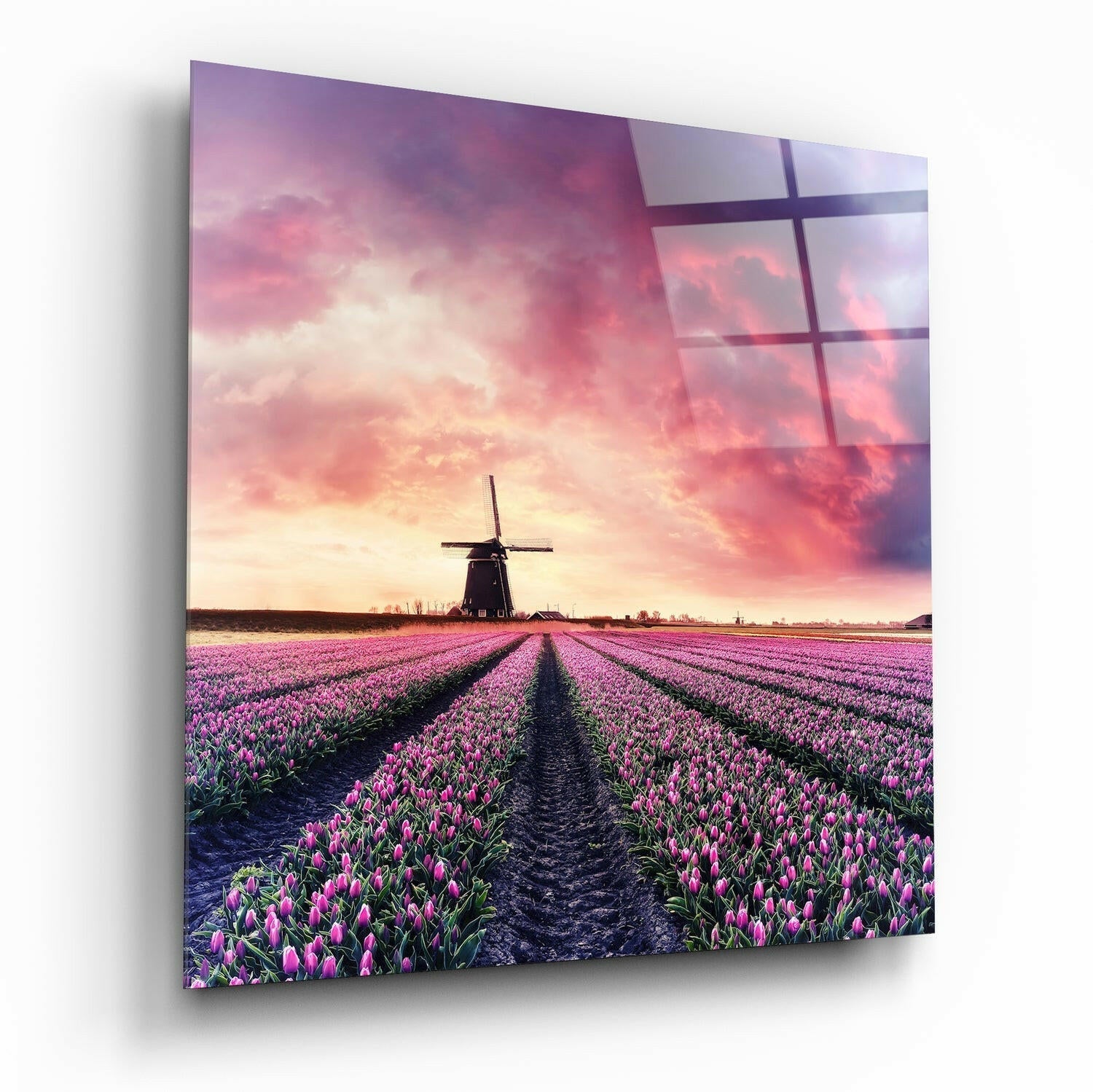 Glass wall art panel displaying a Dutch windmill centered in a vast pink tulip field at sunset, mounted at an angle showing the glossy surface and shadow.