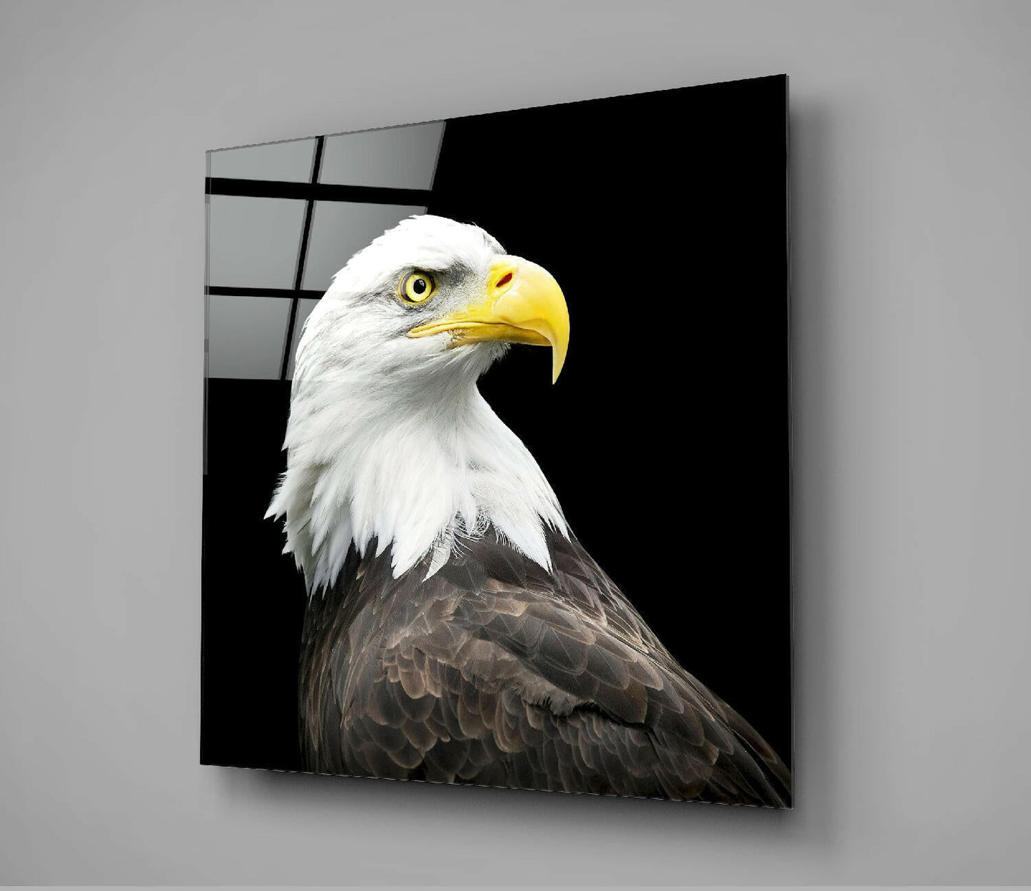 Bald Eagle Head Black Square Glass Wall Art