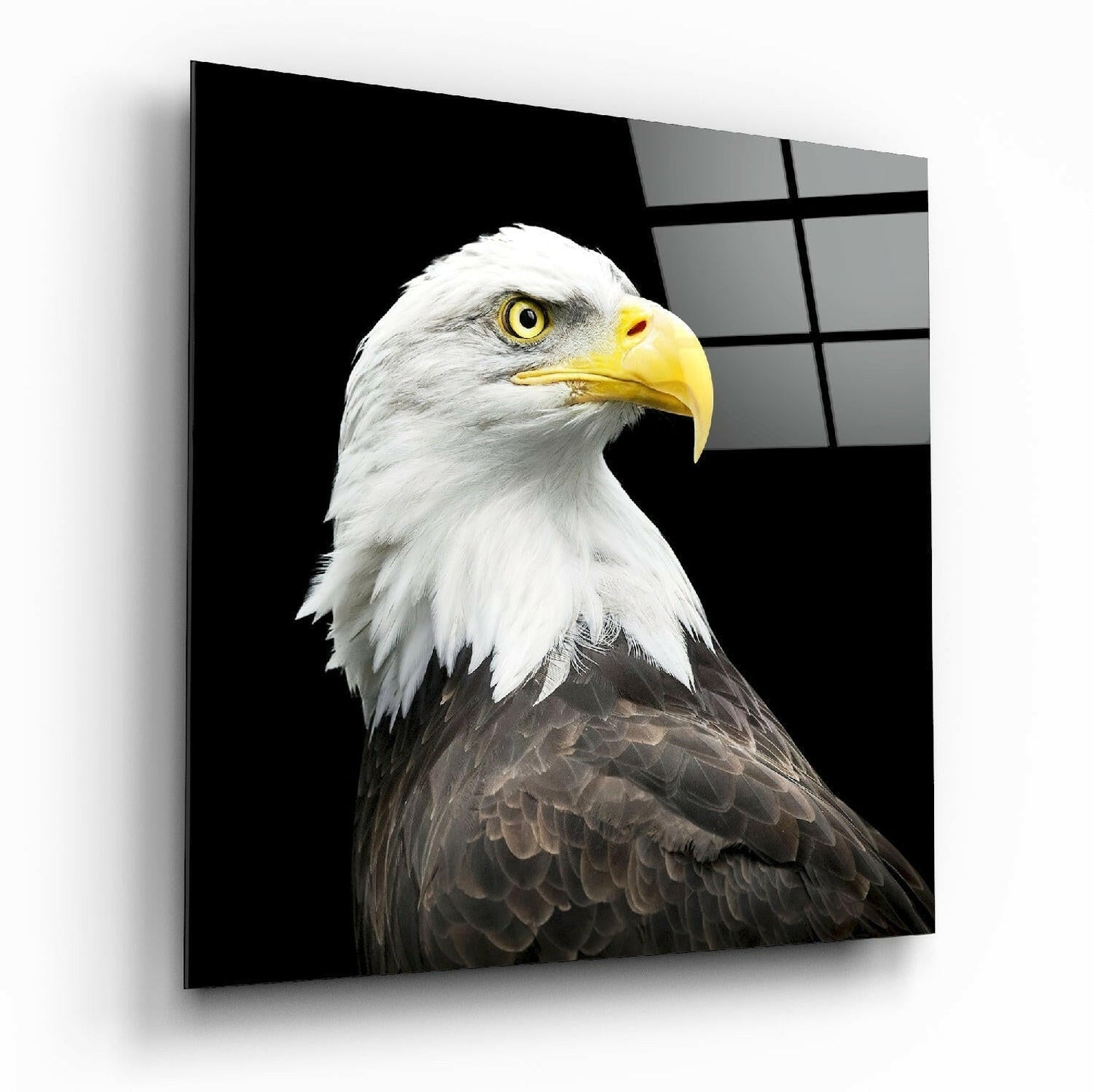 Bald Eagle Head Black Square Glass Wall Art