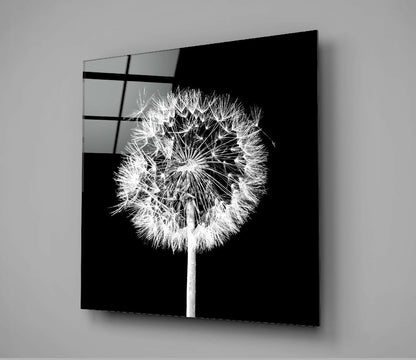 White Dandelion Black Square Glass Wall Art