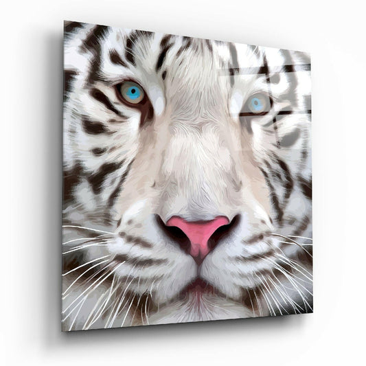 Front-facing close-up of white tiger with striking blue eyes and pink nose on glass wall art panel.