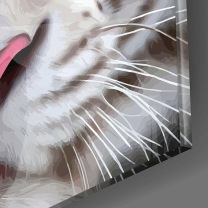 Blue Eyed White Tiger Closeup Glass Wall Art