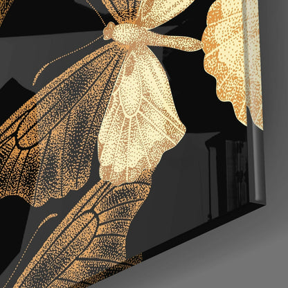 Golden Butterflies Black Backdrop Glass Wall Art