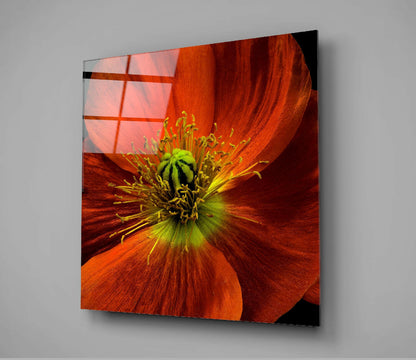 Orange Poppy Green Heart Glass Wall Art