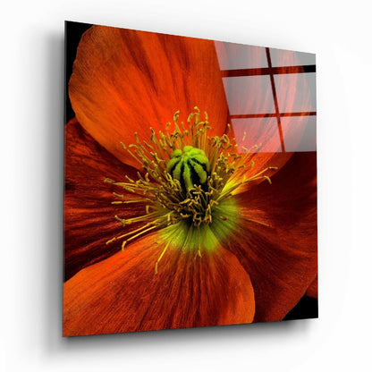 Orange Poppy Green Heart Glass Wall Art