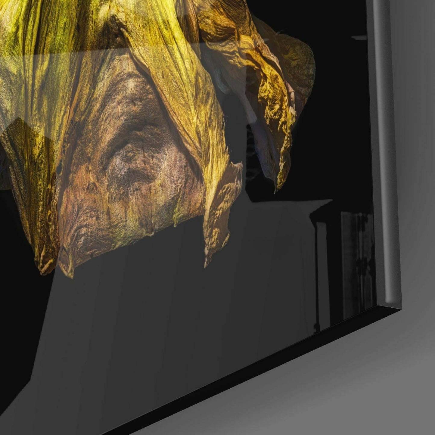 Withered Green Poppy Glass Wall Art