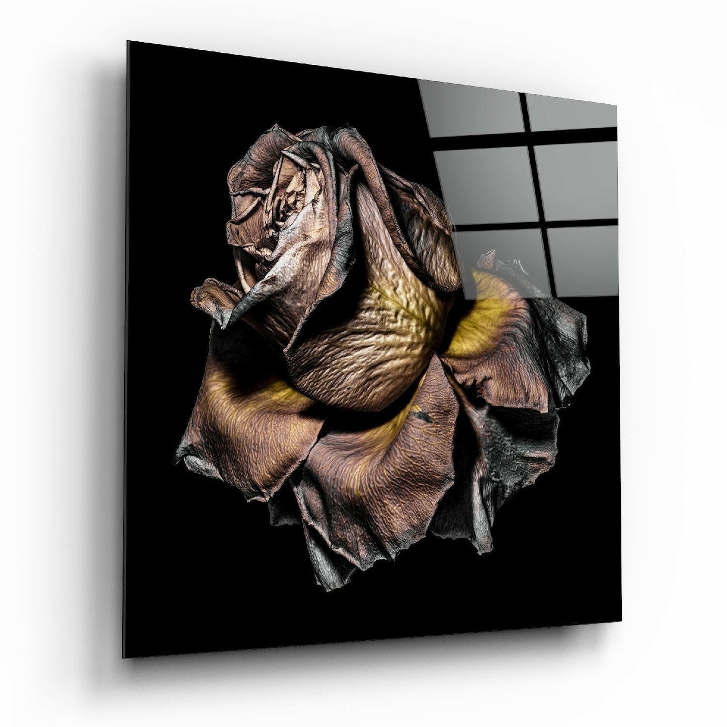 Angled view of glass wall art displaying a detailed dried rose in brown, tan, and yellow tones against black background.