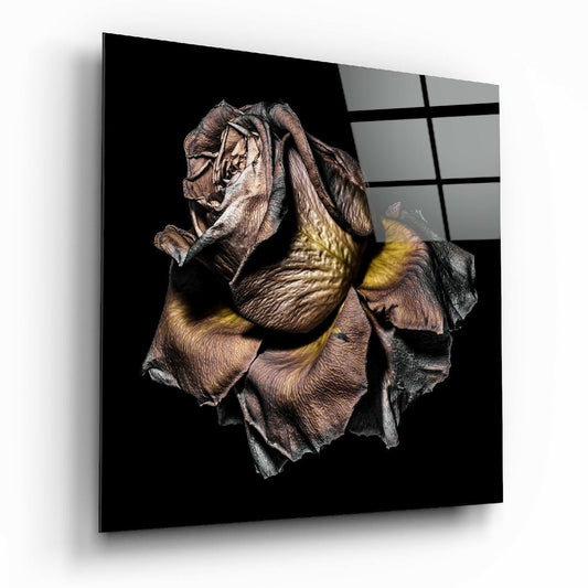 Angled view of glass wall art displaying a detailed dried rose in brown, tan, and yellow tones against black background.