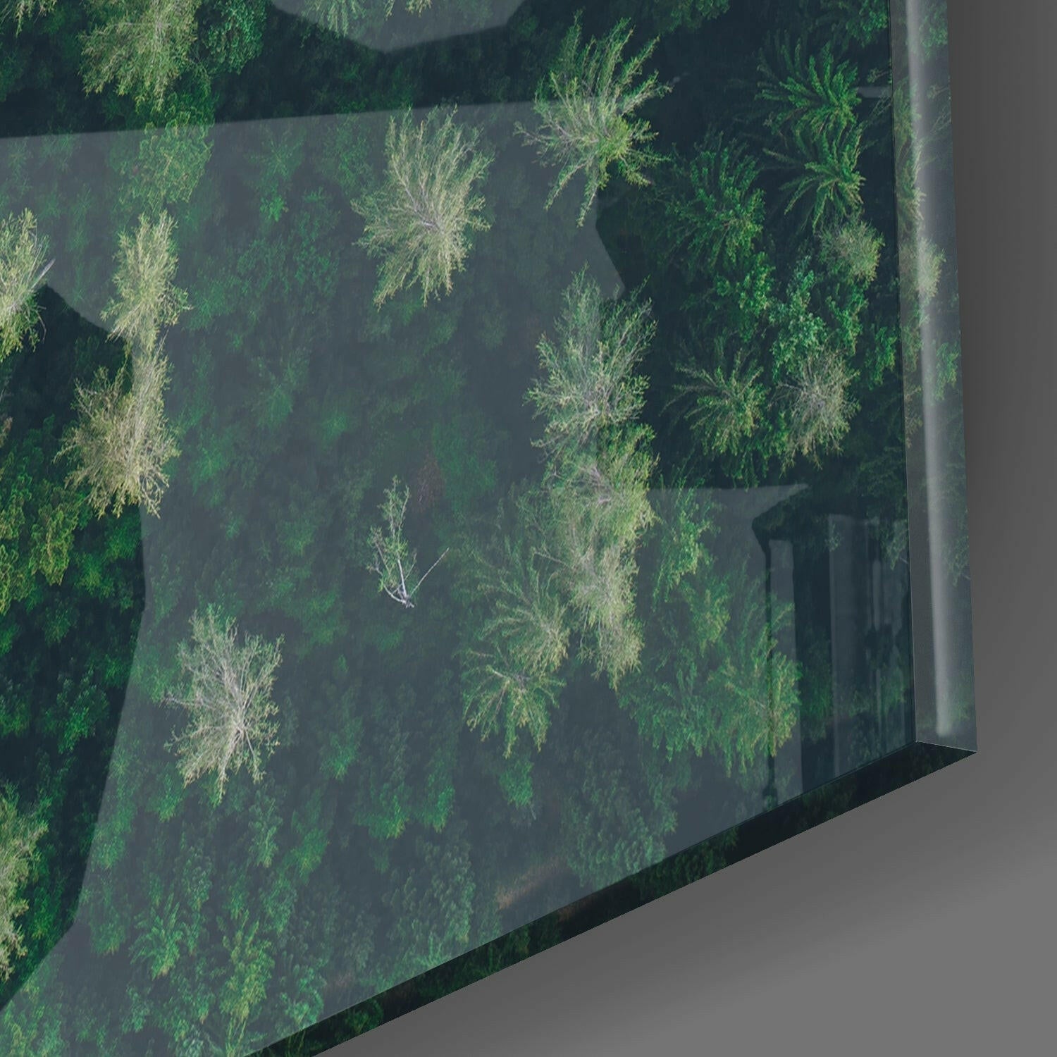 Aerial forest view on glass wall art showing scattered pale and deep green trees with gray road edge along right side.