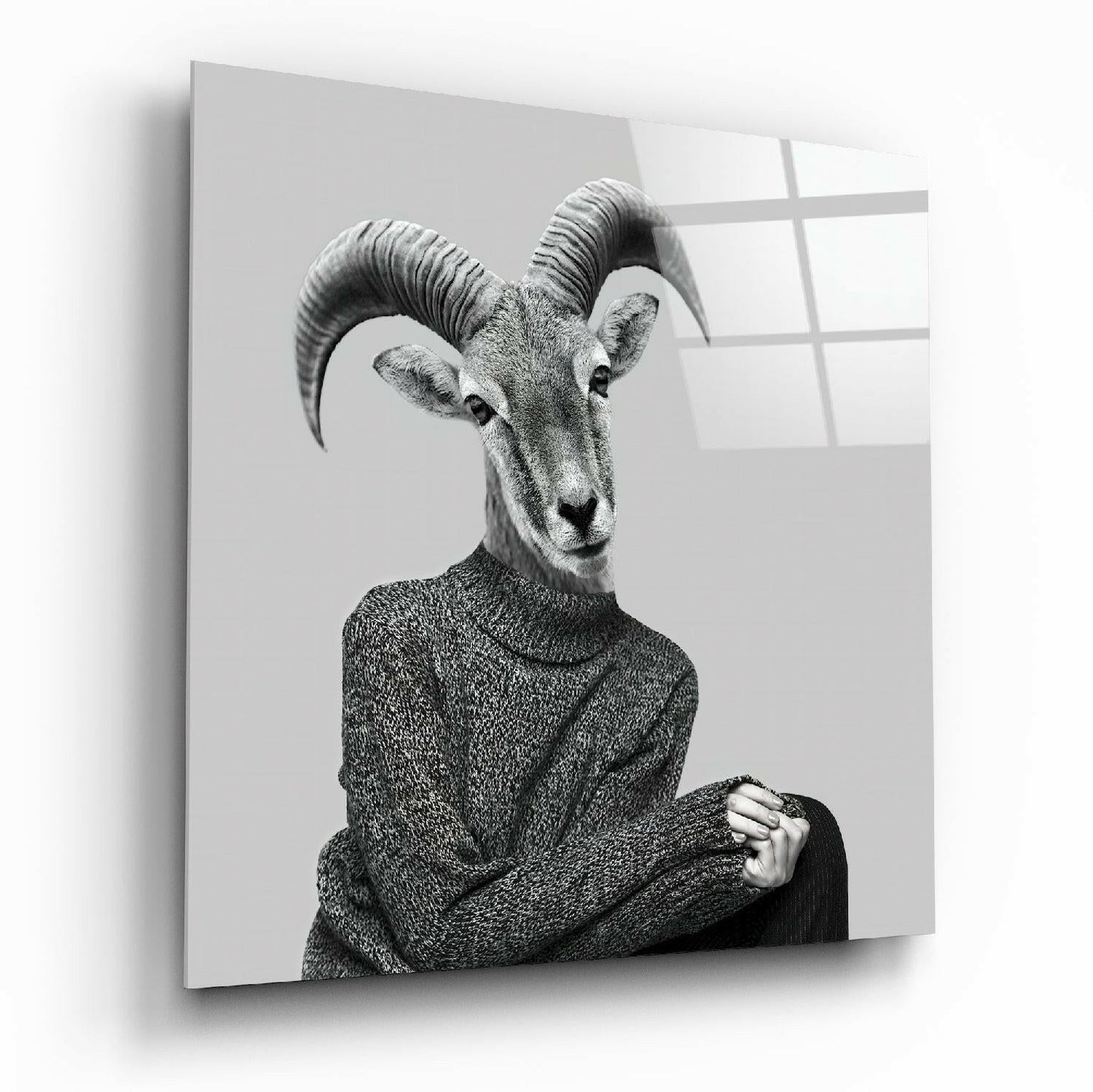 Black and white portrait of an antelope wearing a textured sweater, displayed on a glass wall panel with window reflections.