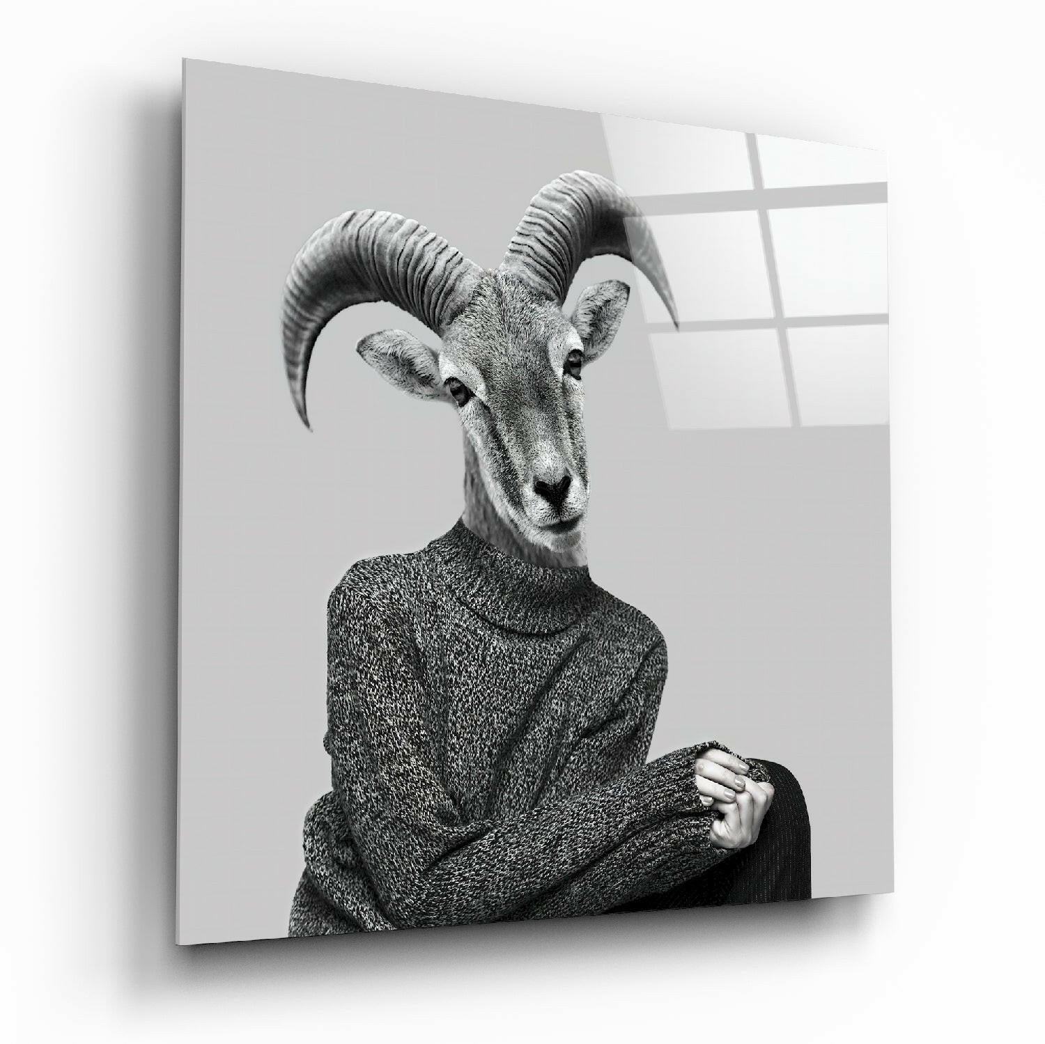 Black and white portrait of an antelope wearing a textured sweater, displayed on a glass wall panel with window reflections.
