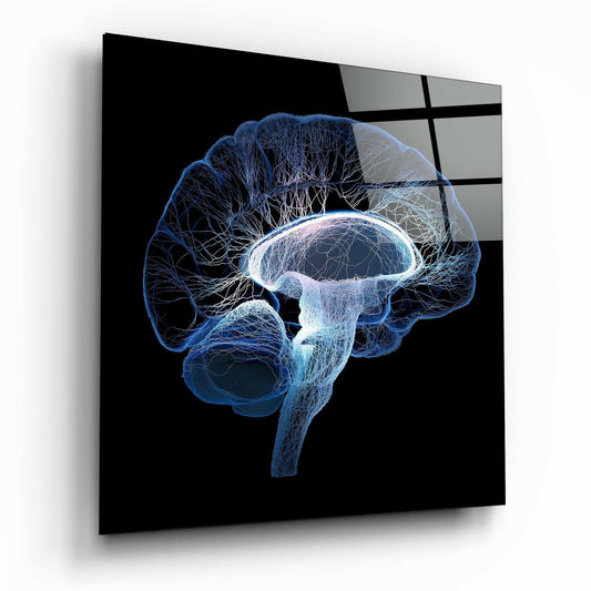 Blue wireframe brain anatomy displayed in side profile view on black glass panel with translucent white highlights.