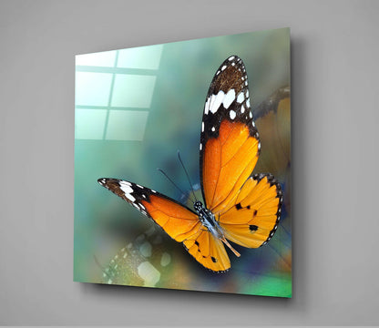 Orange Butterfly on Teal Glass Wall Art