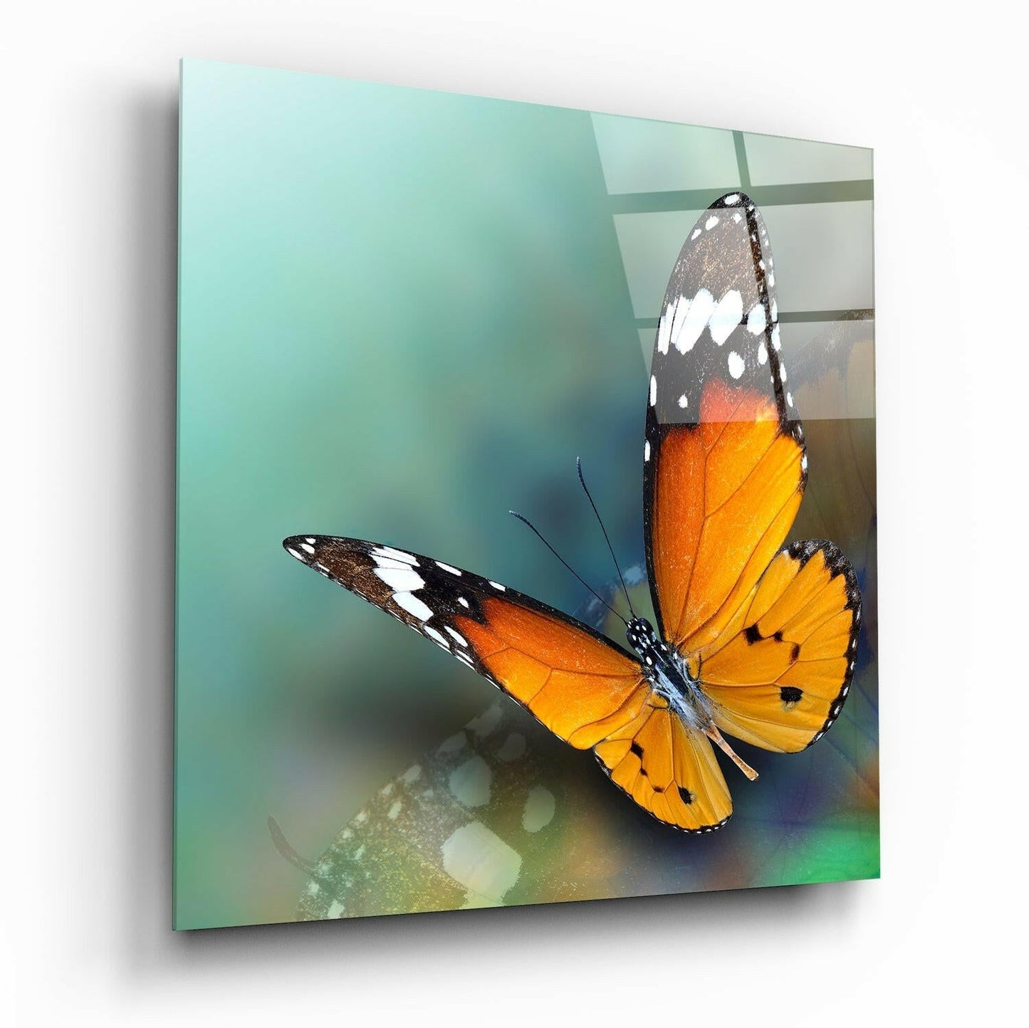 Orange Butterfly on Teal Glass Wall Art