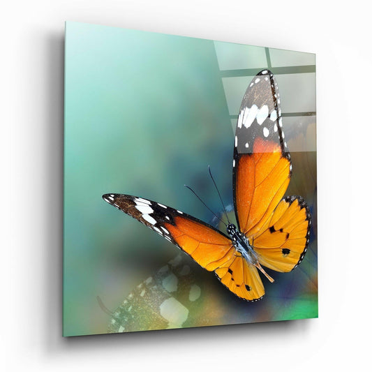 Two orange and black butterflies with white markings displayed on a tilted teal glass panel against a blurred background.