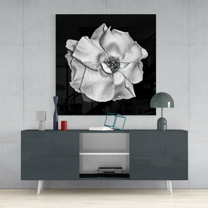Monochrome White Rose Glass Wall Art