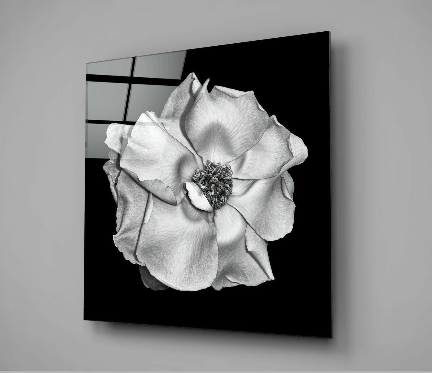 Monochrome White Rose Glass Wall Art