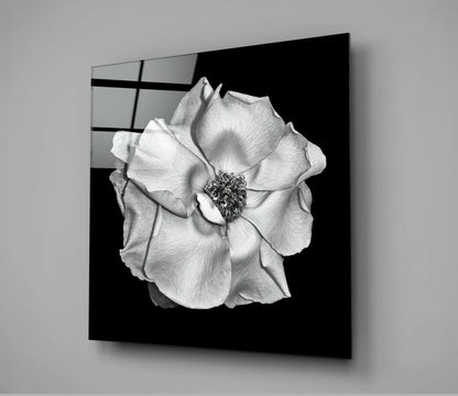 Monochrome White Rose Glass Wall Art