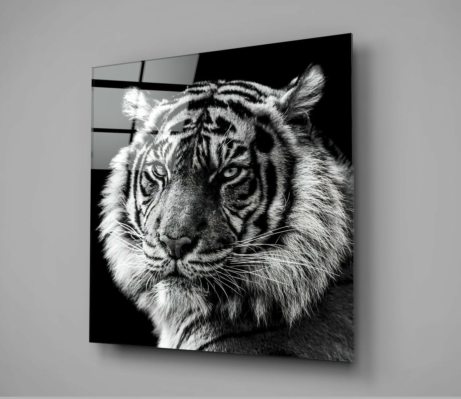 Black and white tiger portrait on glass wall art displaying intense forward gaze against dark background.