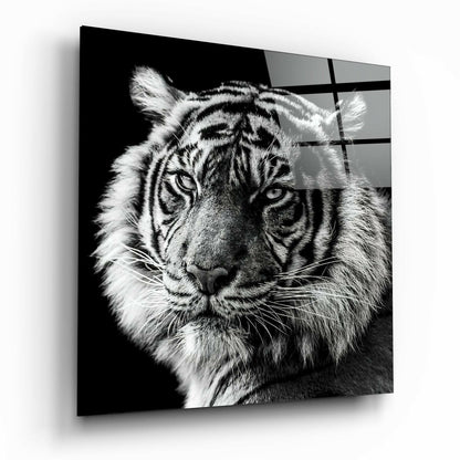 Black and white tiger portrait on glass wall art with geometric grid overlay, displayed at an angle showing depth and shadow.