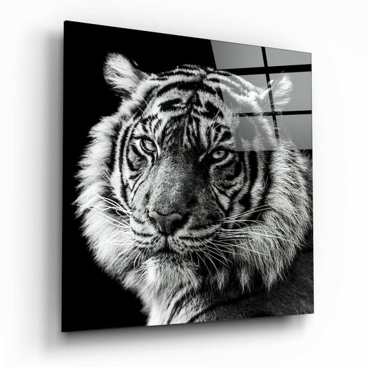 Black and white tiger portrait on glass wall art with geometric grid overlay, displayed at an angle showing depth and shadow.