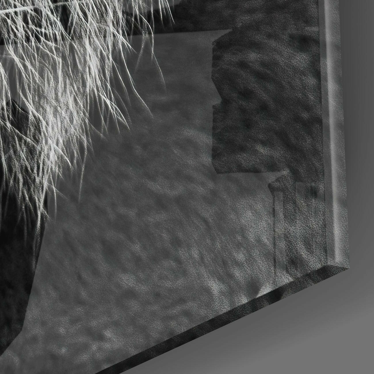 Close-up detail of textured glass surface with white feather-like strands and dark shadowing against gray background.