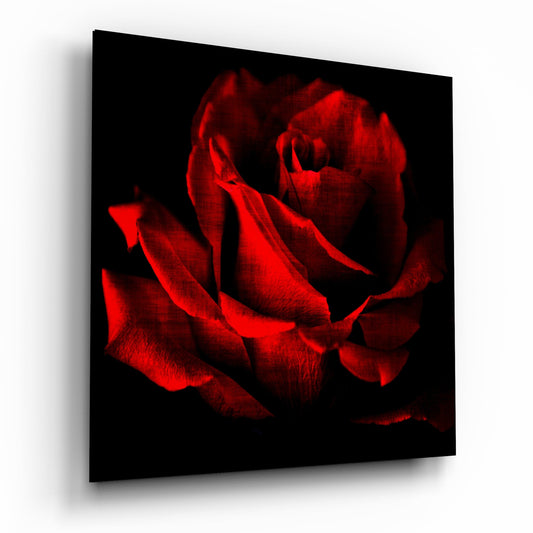 A vibrant red rose with layered petals displayed against a black background on a glossy glass panel, photographed at an angle showing the three-dimensional mounting.
