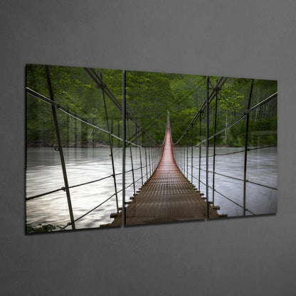 Forest Suspension Footbridge View Glass Wall Art
