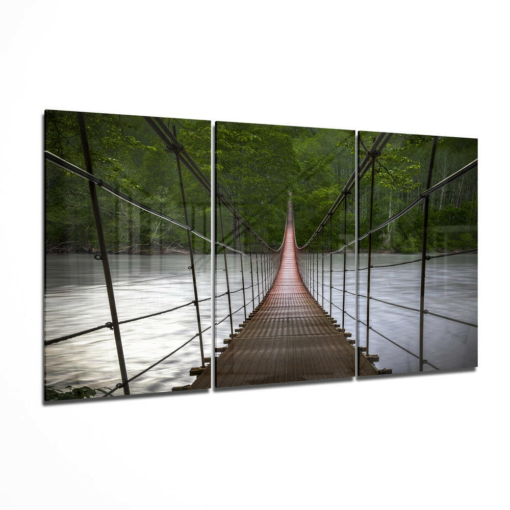 Forest Suspension Footbridge View Glass Wall Art
