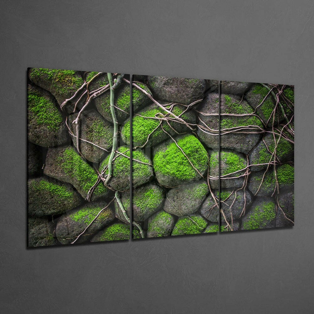 Multi-panel glass wall art displaying moss-covered grey stones with intertwining brown vine branches, mounted at an angle on grey wall.