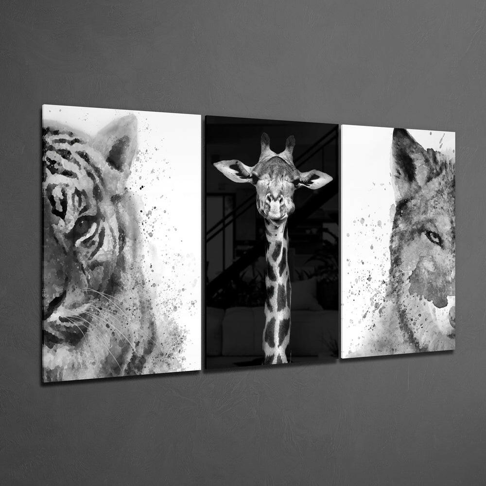Three black and white watercolor animal portraits—tiger, giraffe, and lion—displayed as framed glass panels on a gray wall.