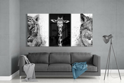 Three black and white animal portraits—tiger, giraffe, and wolf—displayed as glass panels above a gray sofa in a modern living room.