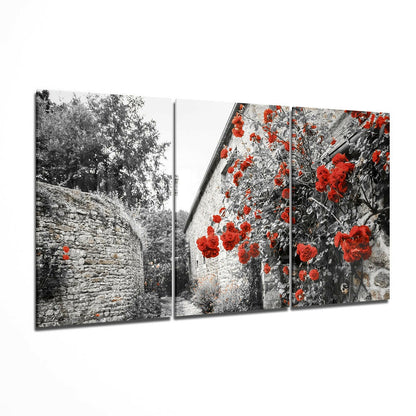 Three-panel glass wall art displaying black and white stonework with vibrant red flowers in selective color.