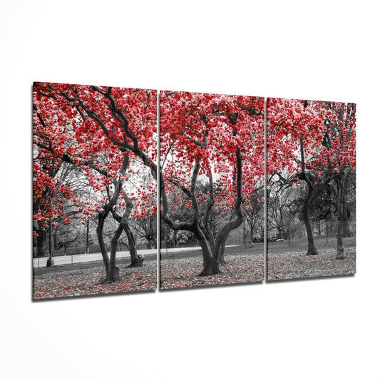 Three-panel glass wall art showing a park with bare black tree trunks and vibrant red blossoms against grayscale background, displayed at an angle.